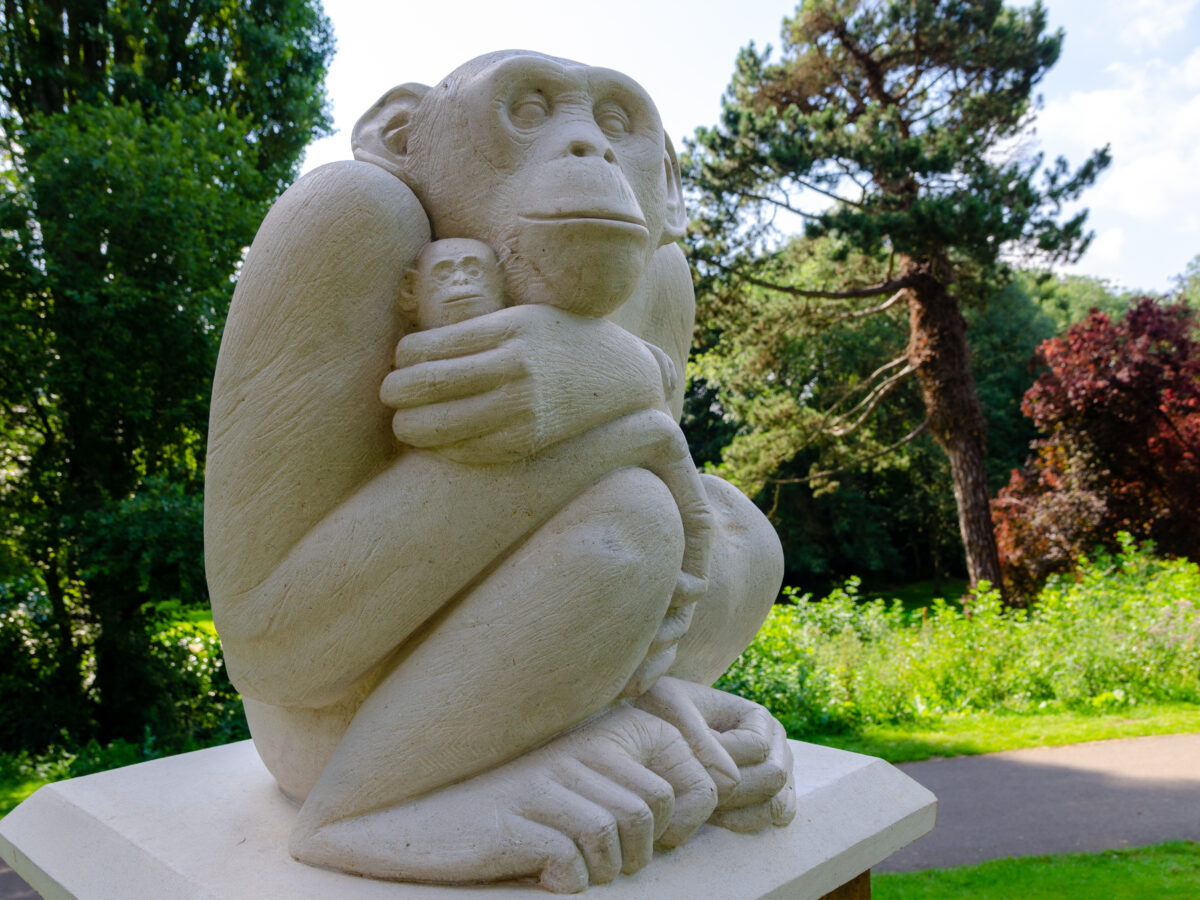 黑猩猩雕塑